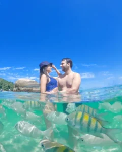fotos com peixes na água