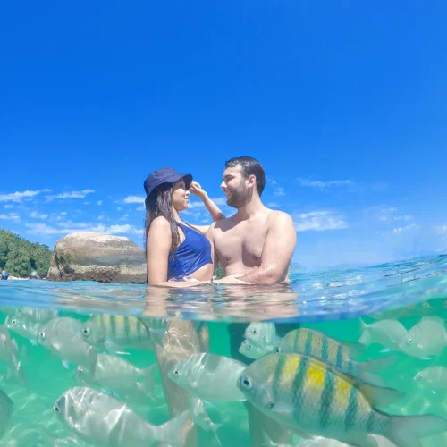 fotos com peixes na água