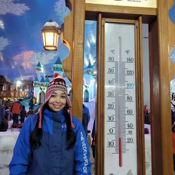 Termômetro Meteorológicos no Snowland